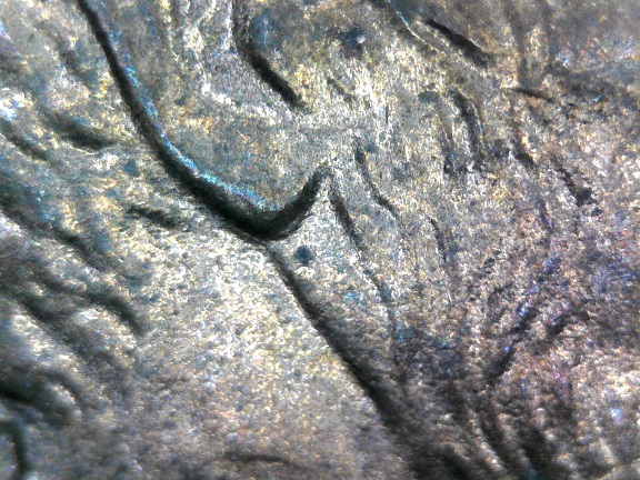 1993-D-Possible-DDO-Earlobe?
